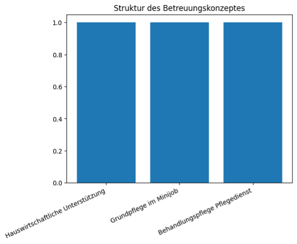 Struktur des Betreuungskonzepts